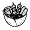 COMBINATION